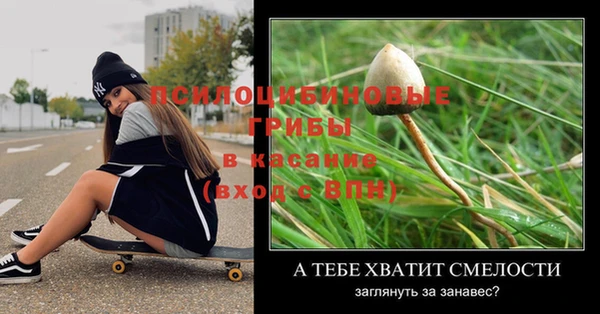 крисы Касимов