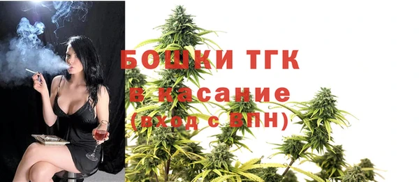 крисы Касимов