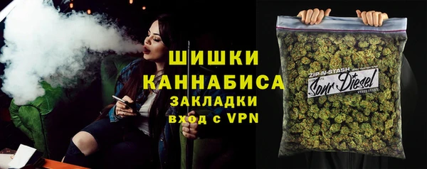 крисы Касимов