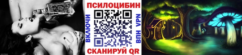 Купить где  Тихвин  Псилоцибиновые грибы GOLDEN TEACHER 
